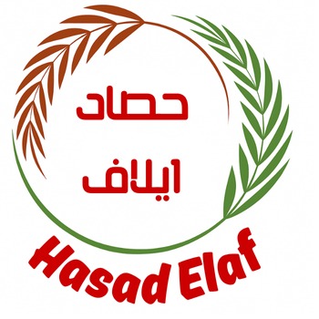 قصتنا
